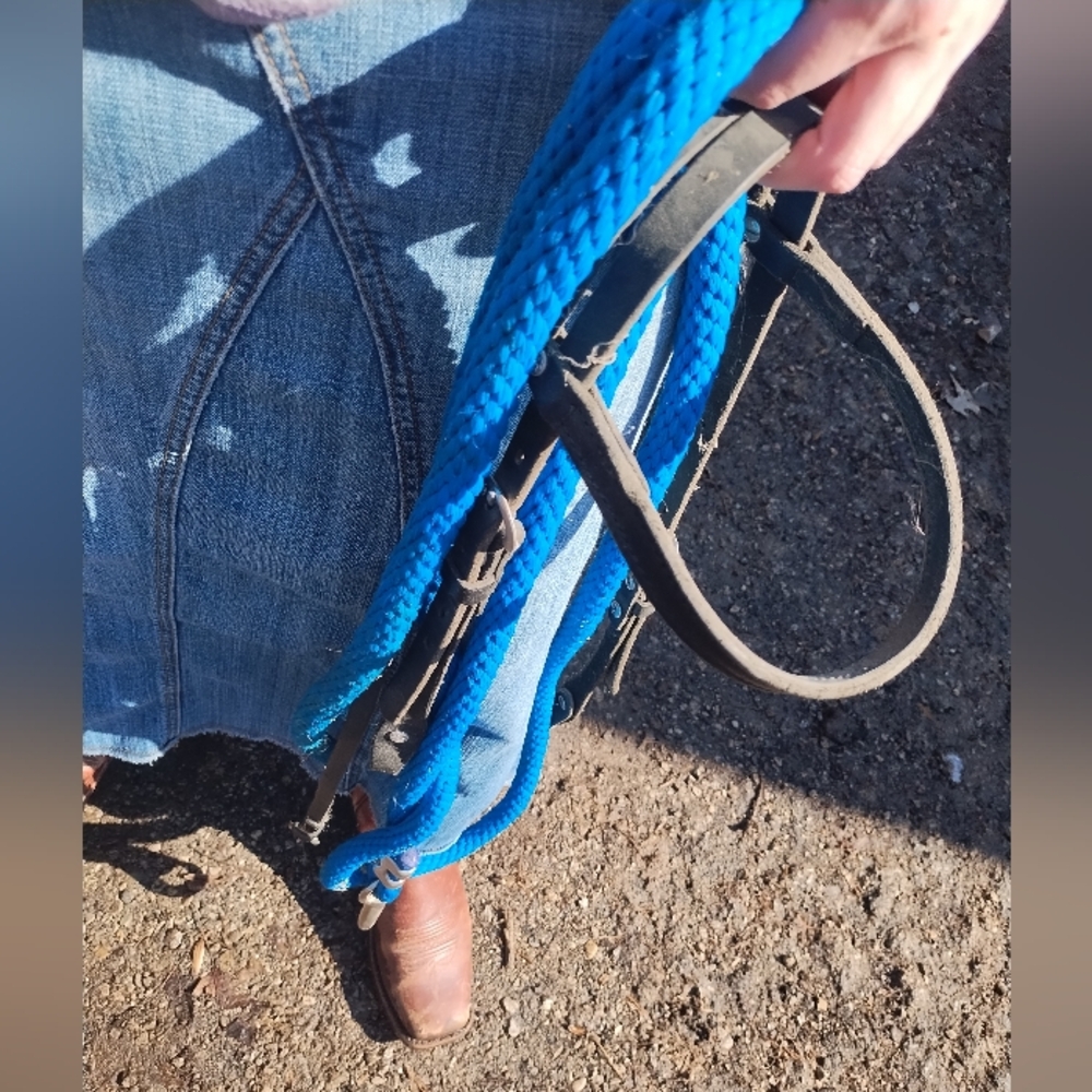 Weaver Leather Headstall And Lead
